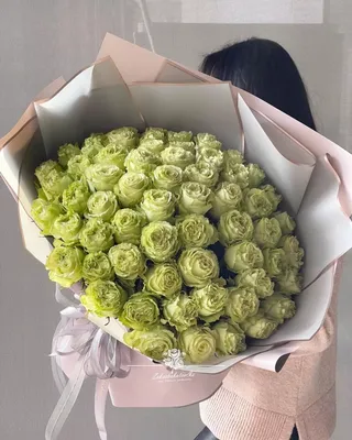 Фотография розы доллар с великолепными цветами и текстурой