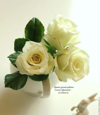 Фотография розы Елена в формате jpg с четкими и яркими цветами