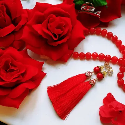 Фотографии розы фламенко в разных размерах