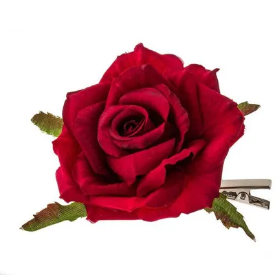 Фотка розы фламенко в формате webp: сочетание качества и компрессии