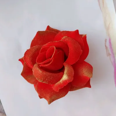 Фото розы фламенко: загадочность в каждой лепестке