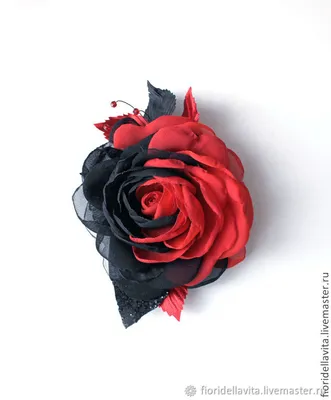 Роза фламенко на фото: удивительное сочетание цветов