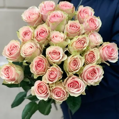 Роза фрутетто - красивое фото в формате jpg