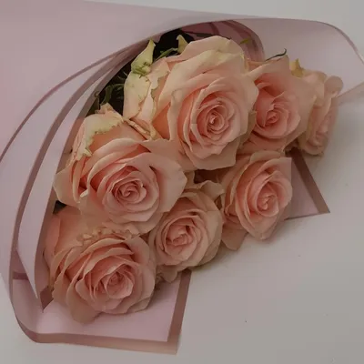 Фотка розы фрутетто с объемным эффектом - создает впечатление трехмерности