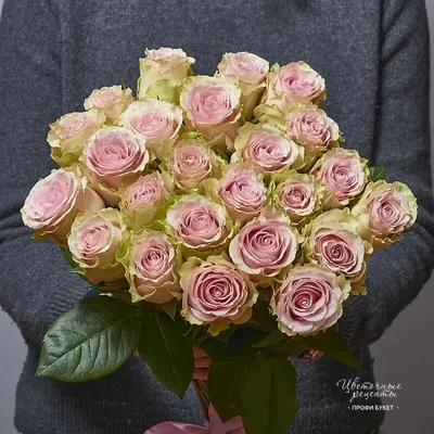 Фотка розы фрутетто в мягком освещении - создает атмосферу умиротворения