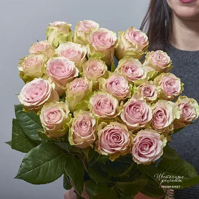 Фотография розы фрутетто с эффектом подсветки - придает световые акценты