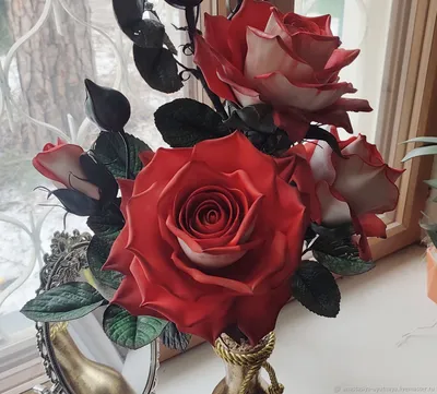 Фотография розы гиннесс в формате png с потрясающей композицией