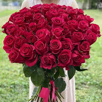 Уникальное изображение розы готча в формате jpg