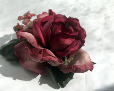 Фото розы графини дианы в высоком разрешении в формате jpg