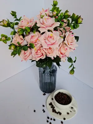 Фото розы грации: восхитительные цветы в каждом снимке