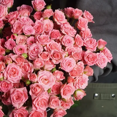 Уникальные фотографии розы грации: выберите формат для скачивания