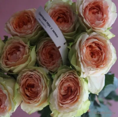 Картинка розы гравити: олицетворение романтики