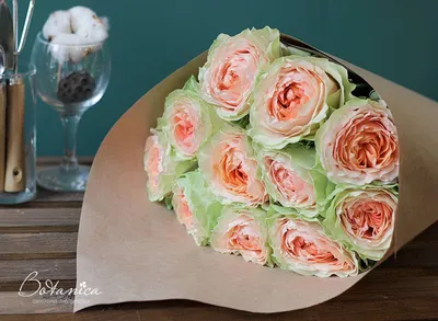 Изображение розы гравити: нежная эстетика