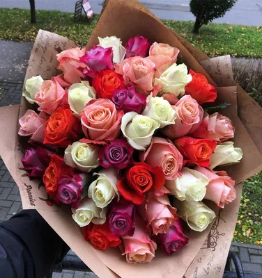 Фотка розы гул с яркими цветами