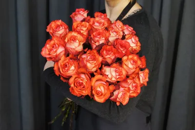 Фотография розы Игуаза в высоком разрешении