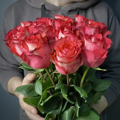 Фото розы Игуаза в различных размерах и форматах