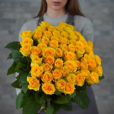 Красивая картинка Розы илос в jpg формате