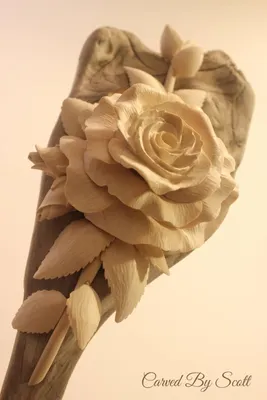 Фотография розы, сделанной в разных цветовых вариантах