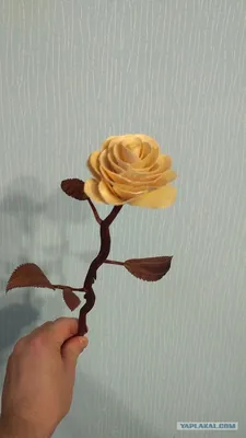 Фото розы, сделанной с помощью дерева