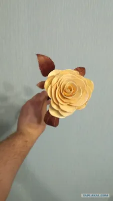 Роза из дерева: красивые фото и уникальные идеи