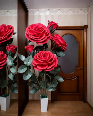 Уникальная фотография розы из изолона с возможностью скачивания