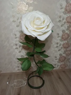 Фотография розы из изолона с эффектом макро