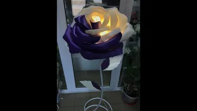 Великолепная фотография розы из изолона в высоком качестве.
