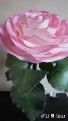 Фотка розы из изолона в различных цветовых вариациях