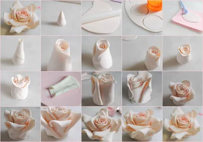 Роза из мастики фотографии