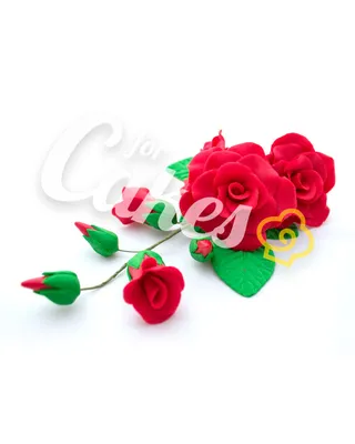 Фото розы с использованием техники HDR