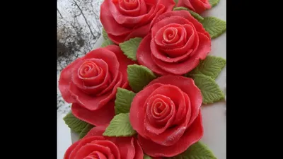 Фото розы с фоном, отражающим ее красоту
