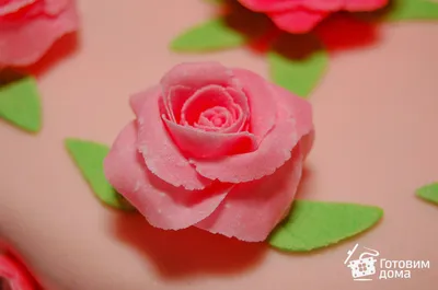 Фотография розы с эффектом мягкой фокусировки