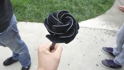 Шикарные фотографии металлической розы для загрузки