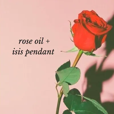 Элегантное изображение розы изис в формате webp