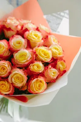 Бархатная роза кабаре на впечатляющем фото