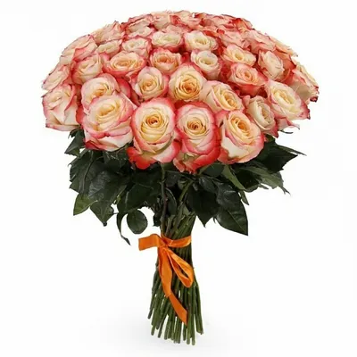 Шикарная роза кабаре - фото в формате jpg
