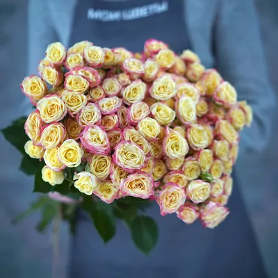 Фотография розы кабаре: природная красота, запечатленная в живописном снимке