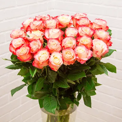 Уникальная красота розы кабаре - фото webp для быстрой загрузки