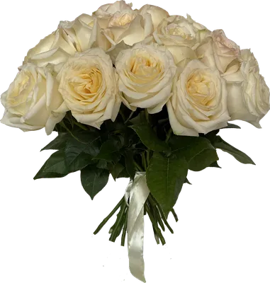 Изысканная красота розы канделайт: скачать фото в webp