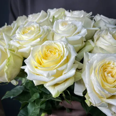 Уникальное изображение розы канделайт: выбор формата и размера