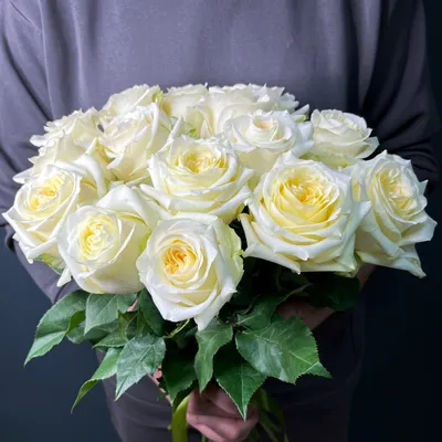 Уникальное изображение розы канделайт: выбор доступного формата и размера