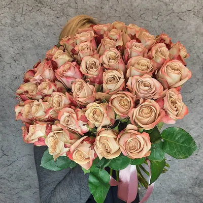 Роза капучино - потрясающая картинка (png)