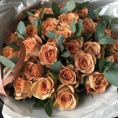 Великолепное изображение розы капучино в формате jpg