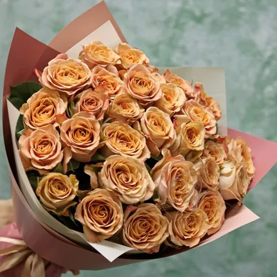 Потрясающая картинка розы капучино для загрузки (webp)