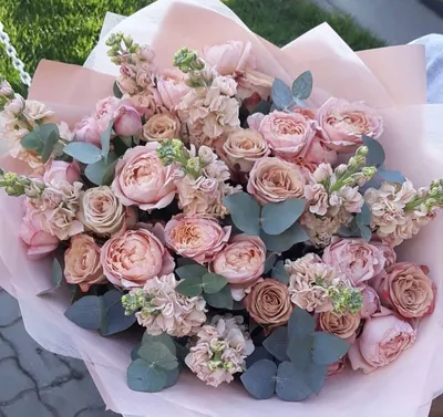 Фото розы капучино в формате webp с возможностью скачивания