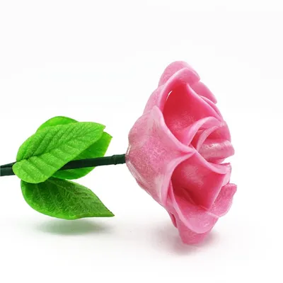 Фото розы карамель в естественном освещении