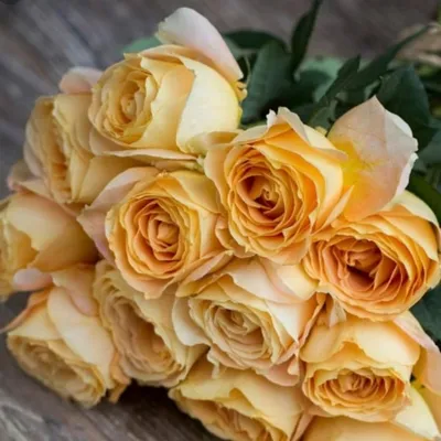 Фото розы карамель с выбором размера