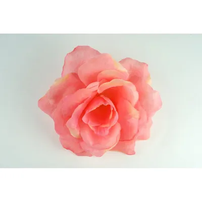 Фотография розы Роза кардинал в формате jpg