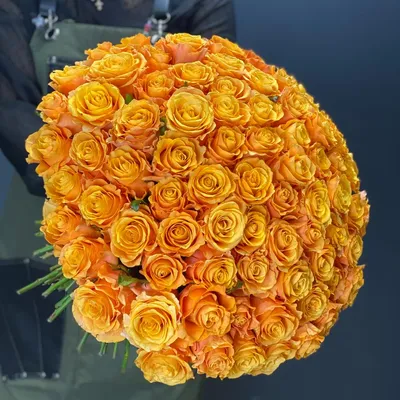 Уникальное фото розы карпе дием для сохранения
