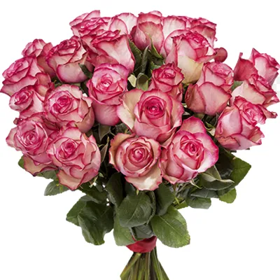Роза карусель: Уникальные изображения, придающие романтическое настроение